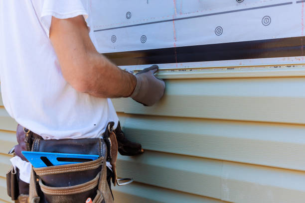 Affordable Siding Repair solutions in Naperville, IL